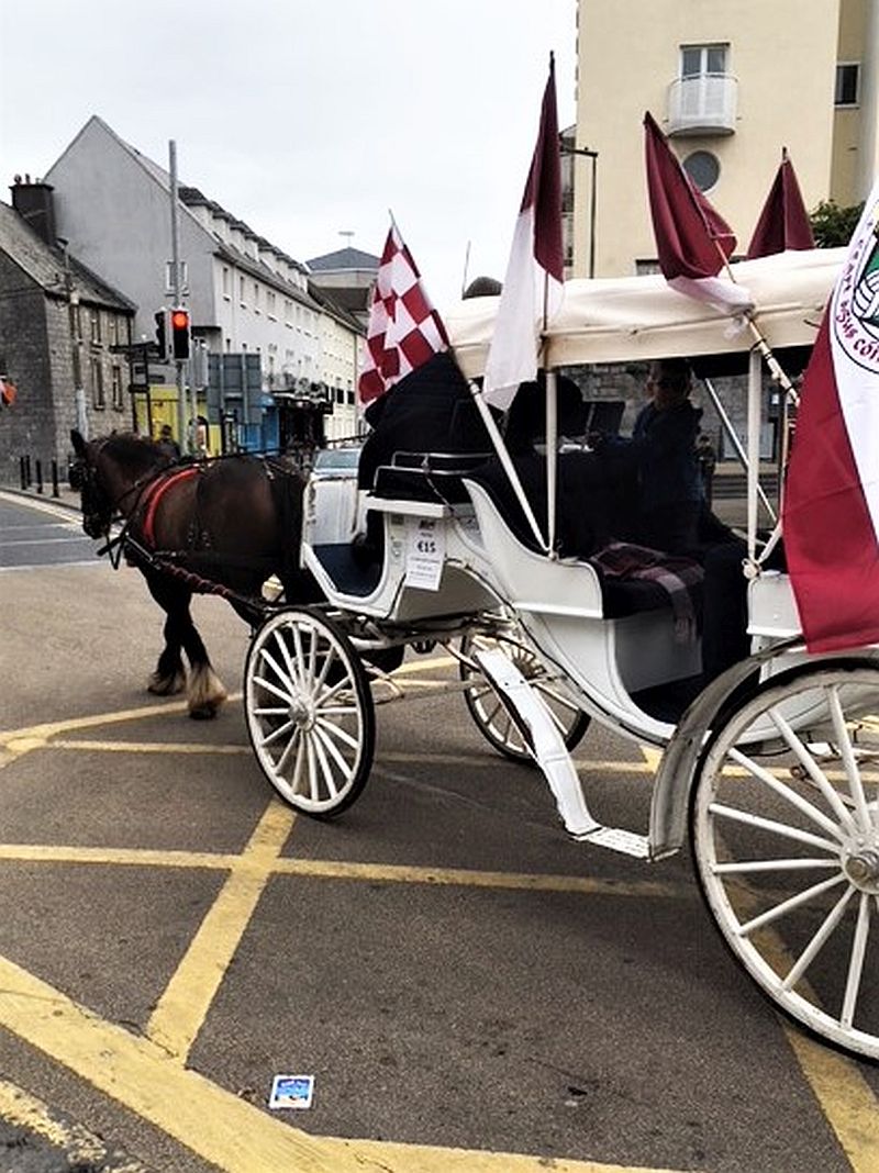 Horse &amp; carriage in Galway