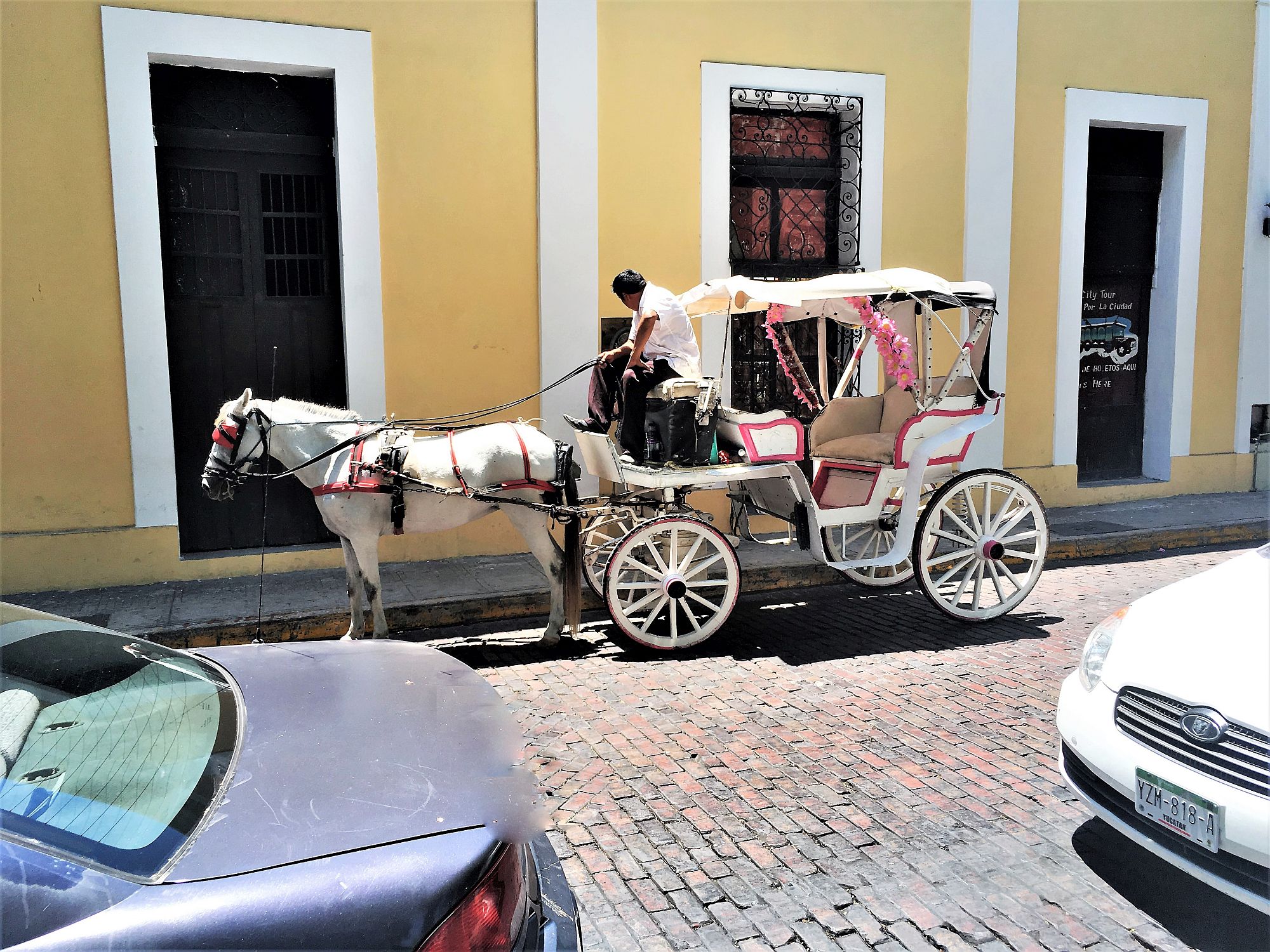 Horse &amp; carriage tour on the Paseo in Merida, Mexico