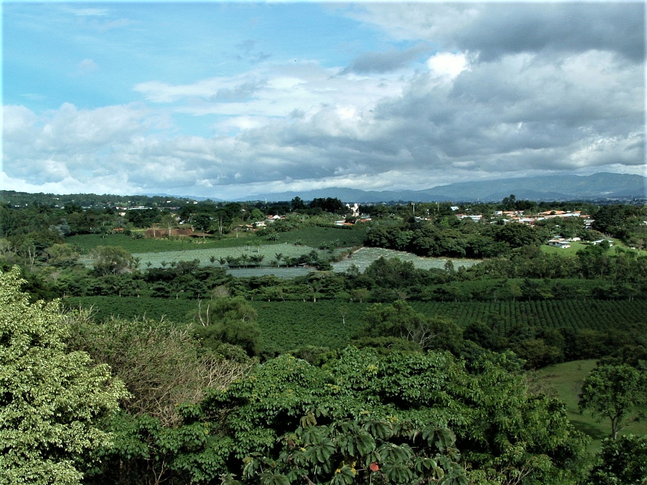 View from guest room at Finca Rosa Blanca in Costa Rica