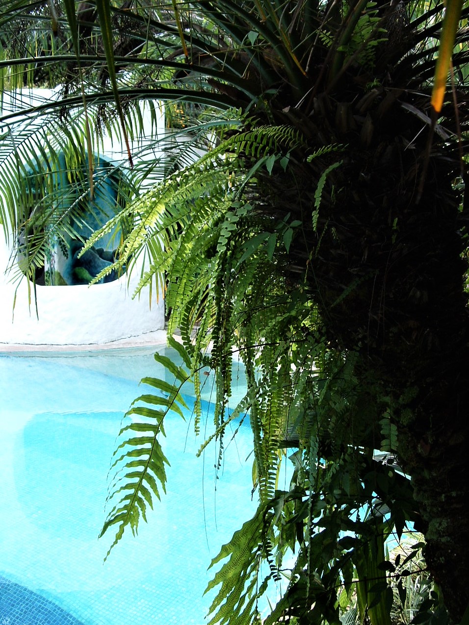 The pool at Finca Rosa Blanca In San Jose, Costa Rica