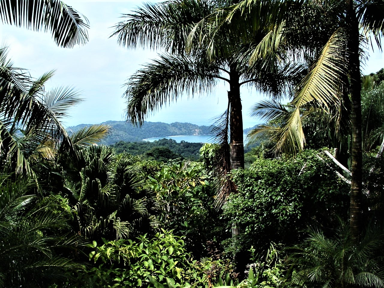 View to the pacific ocean in Costa Rica