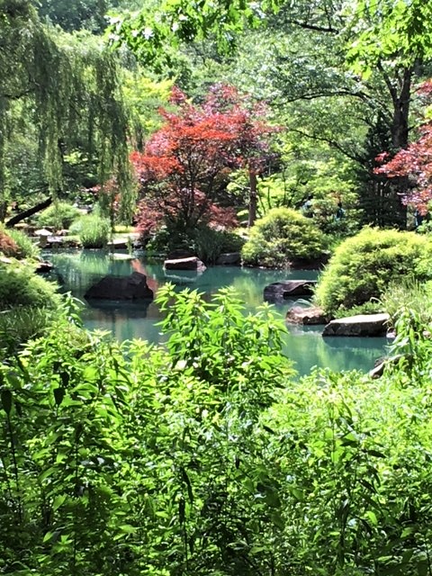 View of Japanese Garden at Gibbs