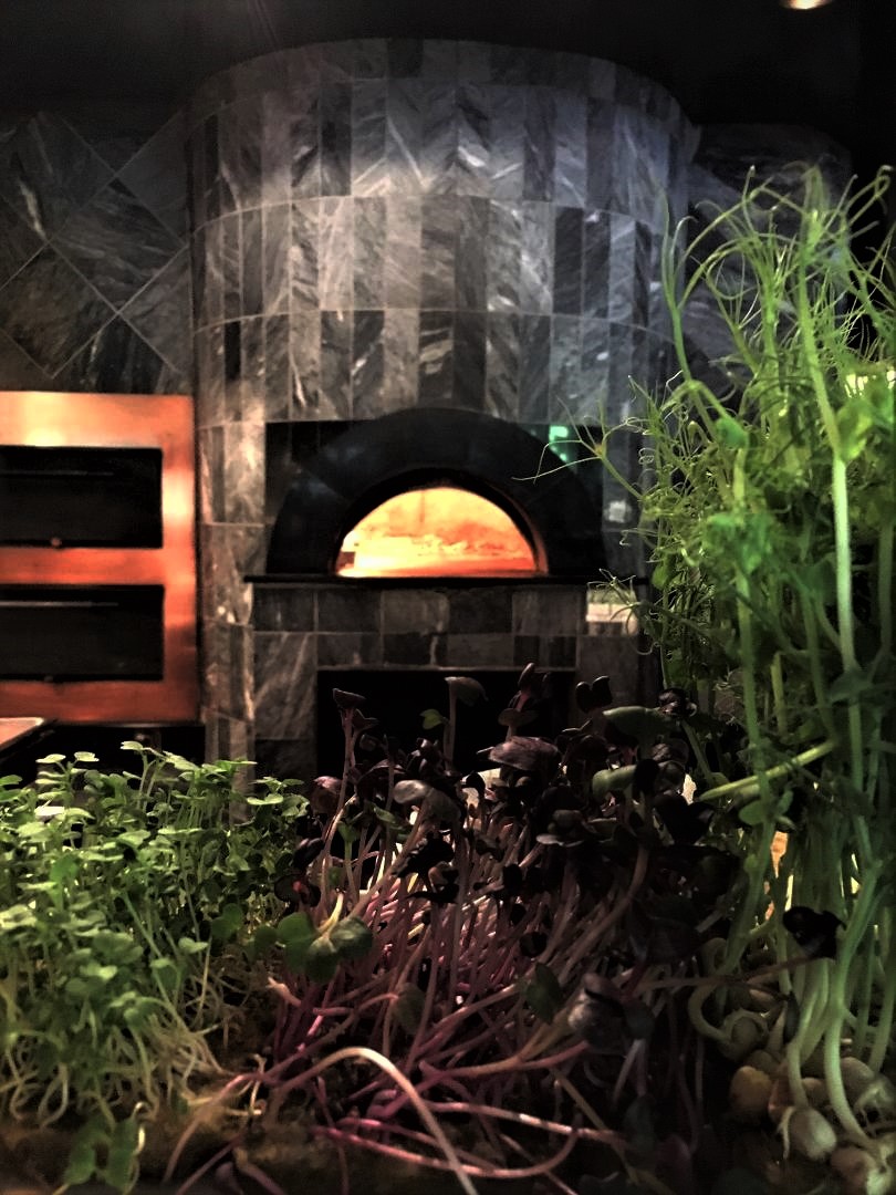 The pizza oven at Pricci in Buckhead