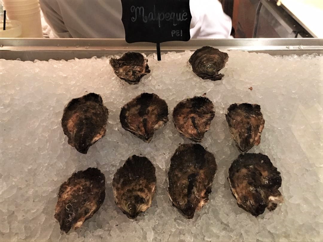 Fresh oysters in kitchen window