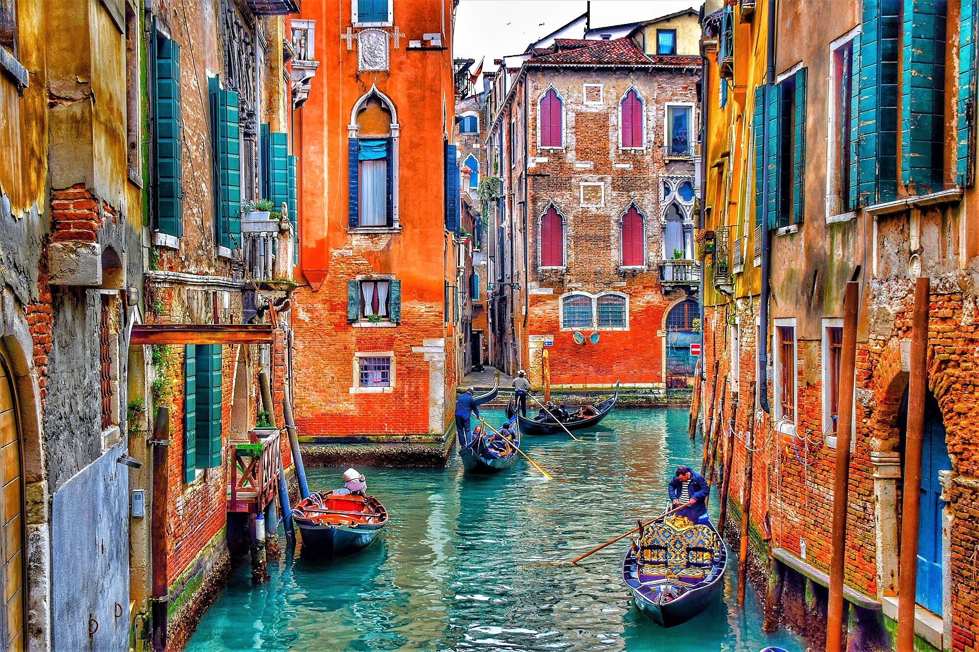 Searching for food in Venice, Italy