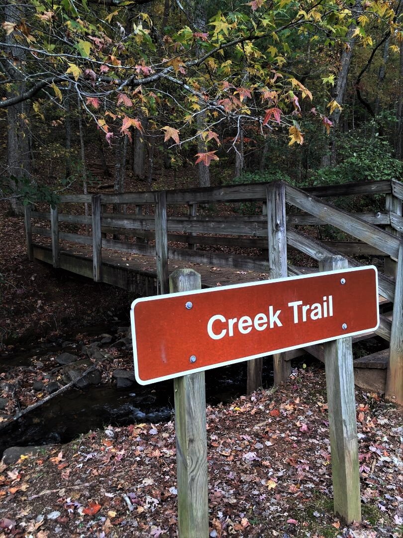 Creek Trail at Amicalola Falls