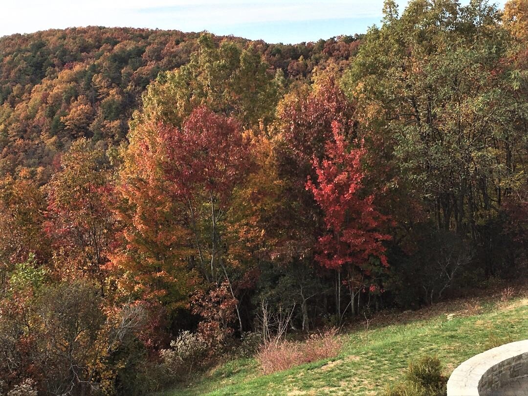 Fall color at Amicalola