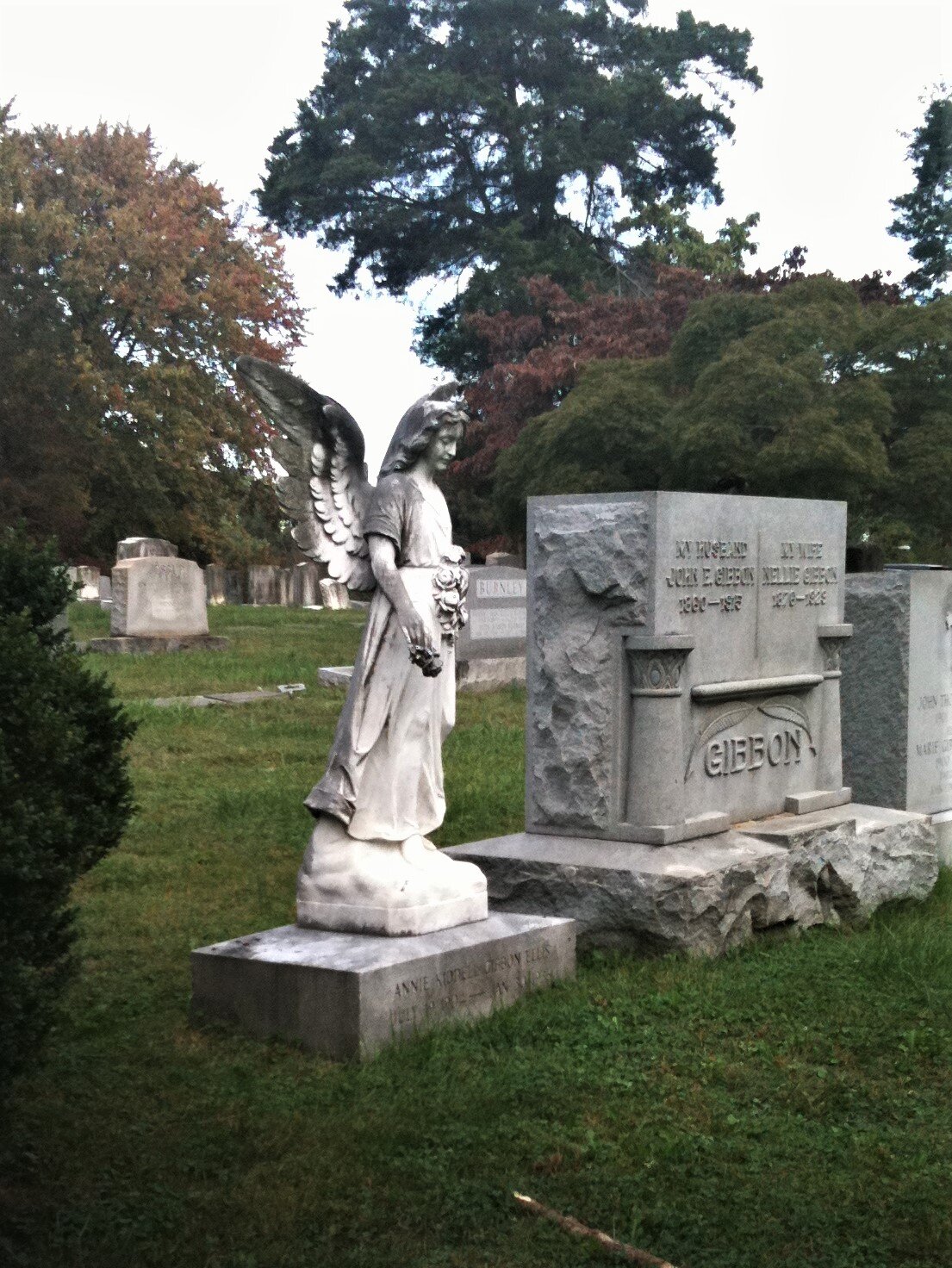 The cemetery in Charlottesville, VA