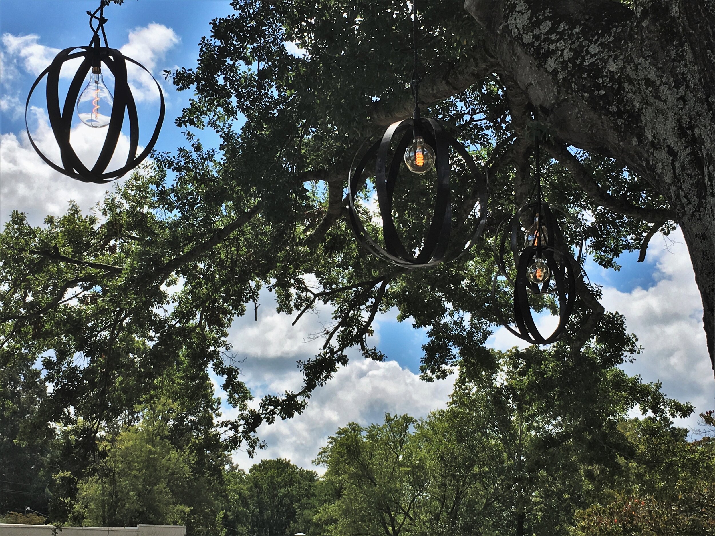 Hanging lanterns in tree