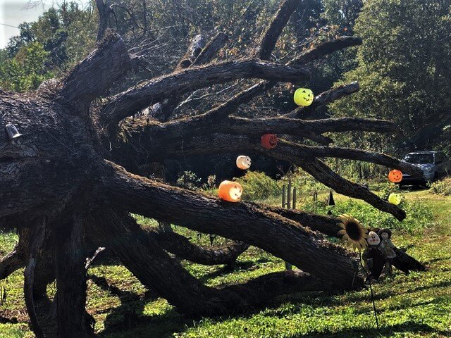 Felled tree sculpture