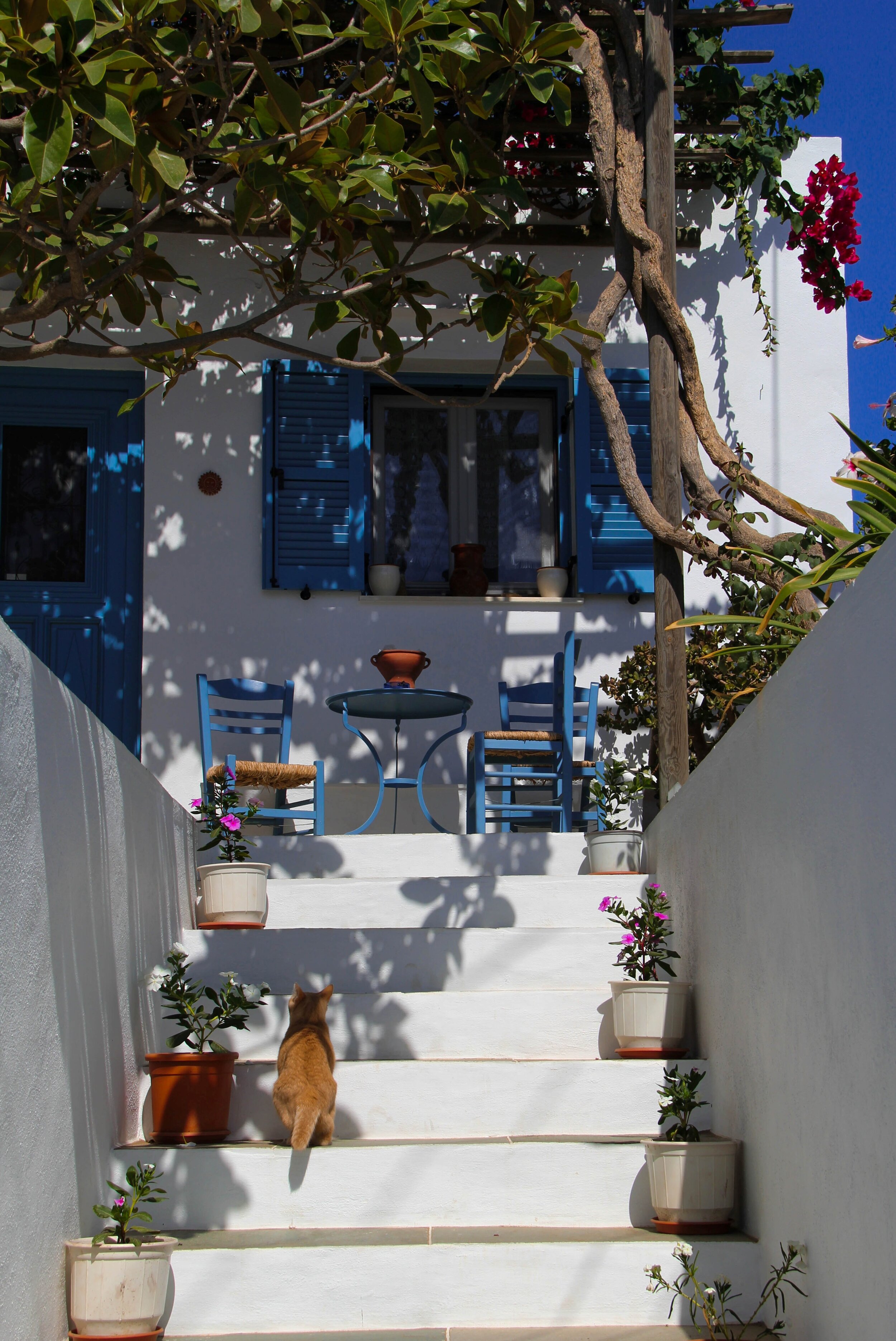 Local architecture in Santorini