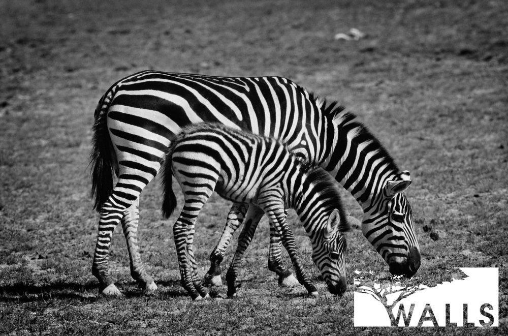 Detail from Mother's Stripes