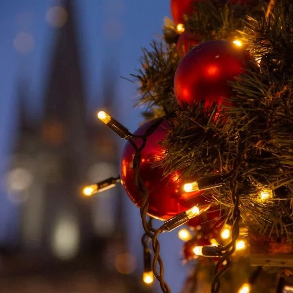 Happy Christmas Eve...what ya cookin' for dinner tonight?

#artsychowroamer
#thequirkytourist
#exploretheworld
#christmaseve