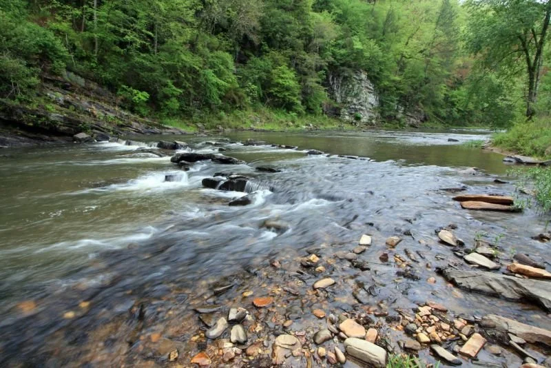 Talking Rock Creek by Alan Cressler