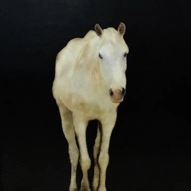 Friday art contemplation by Dawn Raulet...

#artsychowroamer
#thequirkytourist
#artfulideal
#fridaythoughts