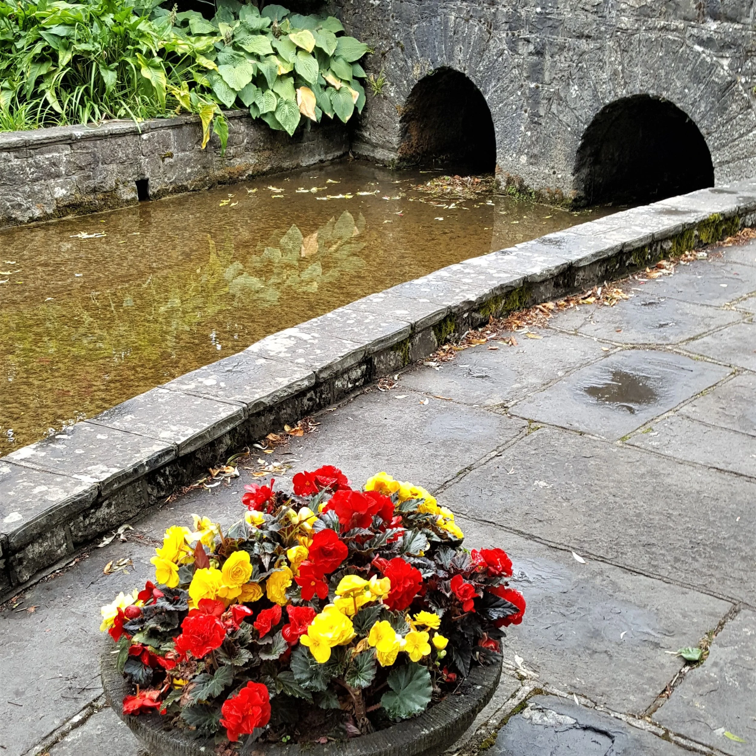 A Tuesday throwback post of a trip to Ireland and the visit to Adare...

#artsychowroamer
#thequirkytourist
#ireland
#exploretheworld