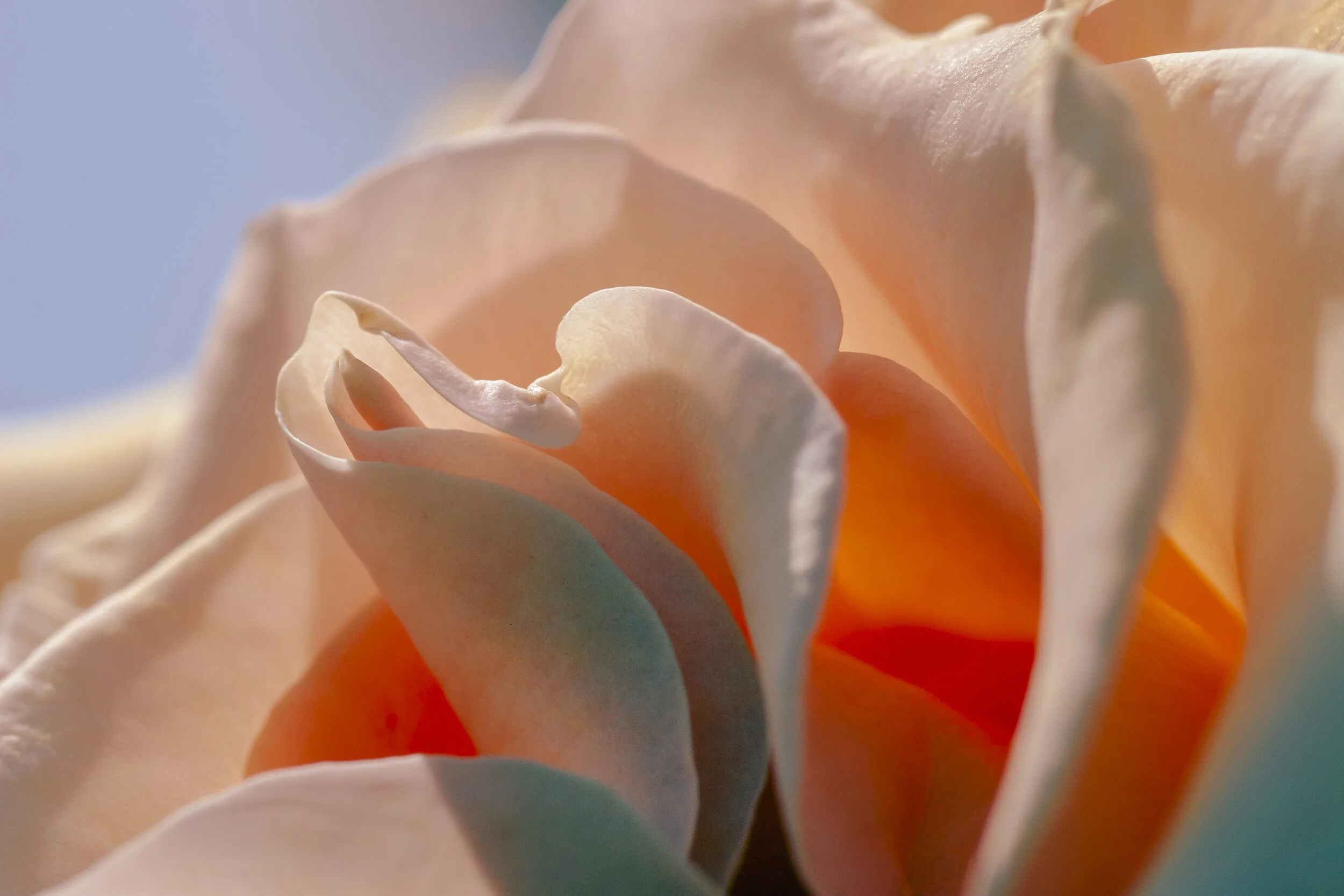 The Courage of the Heart - A Women's Wisdom Leadership Program October 4-8, 2021