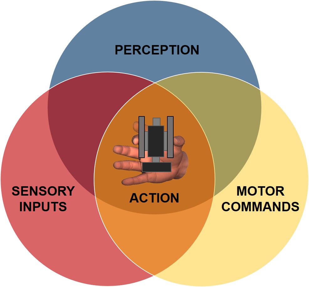 Psychophysics Visual Example Psychophysics — Neural Control of Movement Laboratory