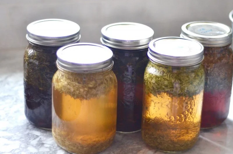 herbal+infusions.jpg