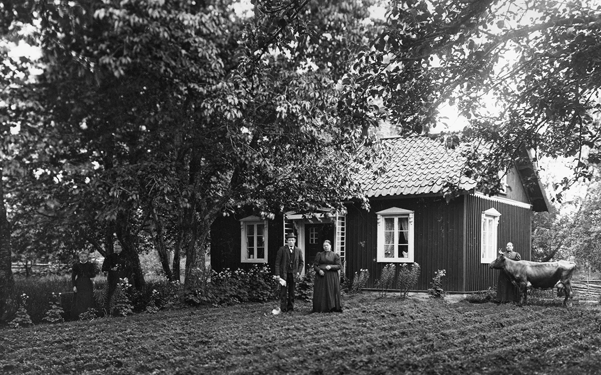 Bild 257