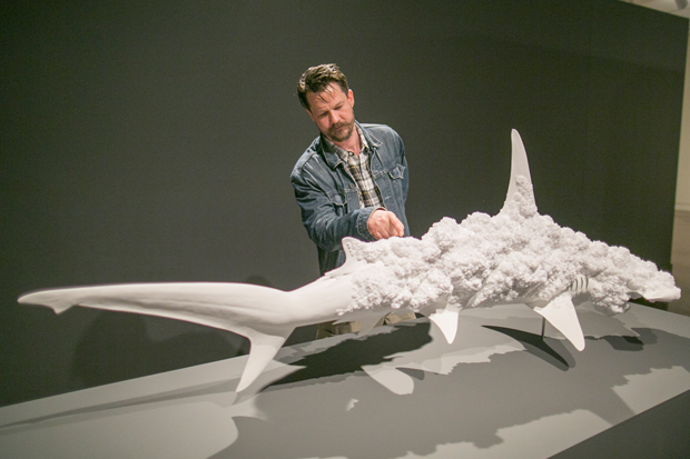Abstruction: The Sculpture of Erick Swenson at HMA