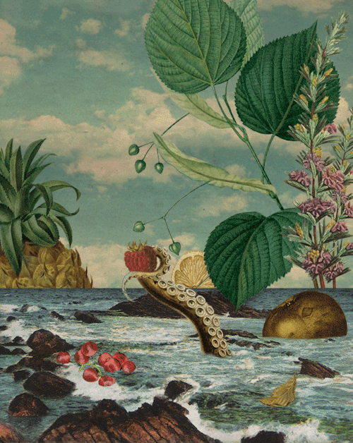 Link Roundup: A Secret Museum, Climate Realism, &amp; More