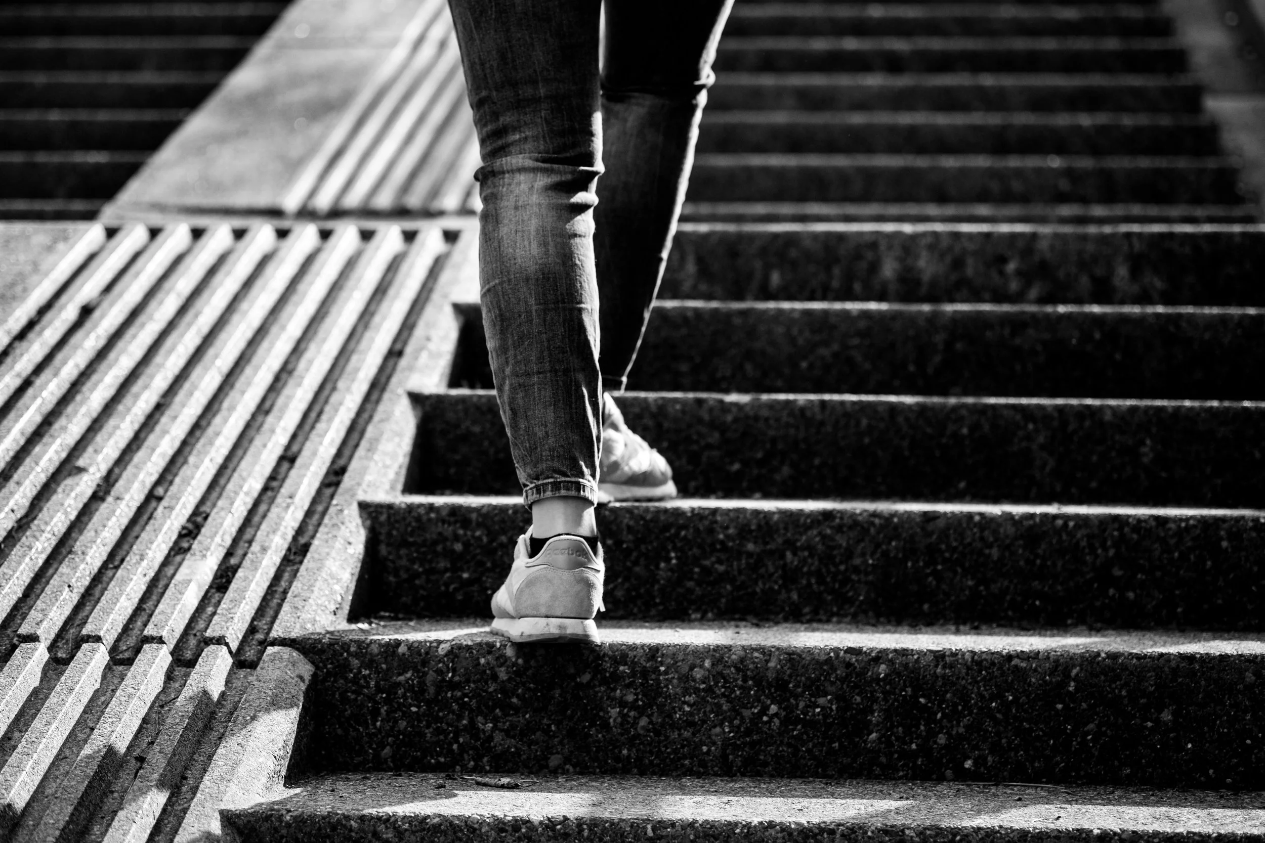 Photo by Lisa Sulzer on Unsplash