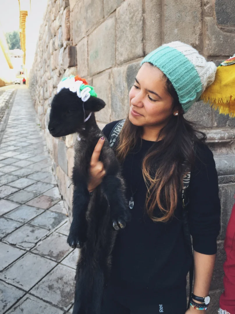 a lady with a baby lamb asked me if I wanted to hold it and take a picture, I said why not? 😊then she obviously charged me for it 😑
