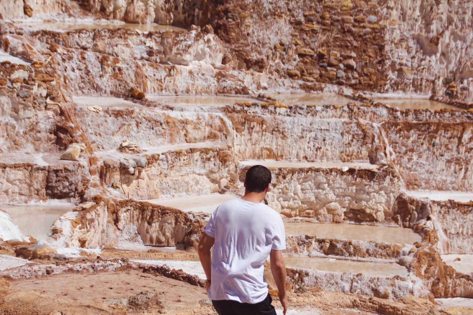 dat back pabs