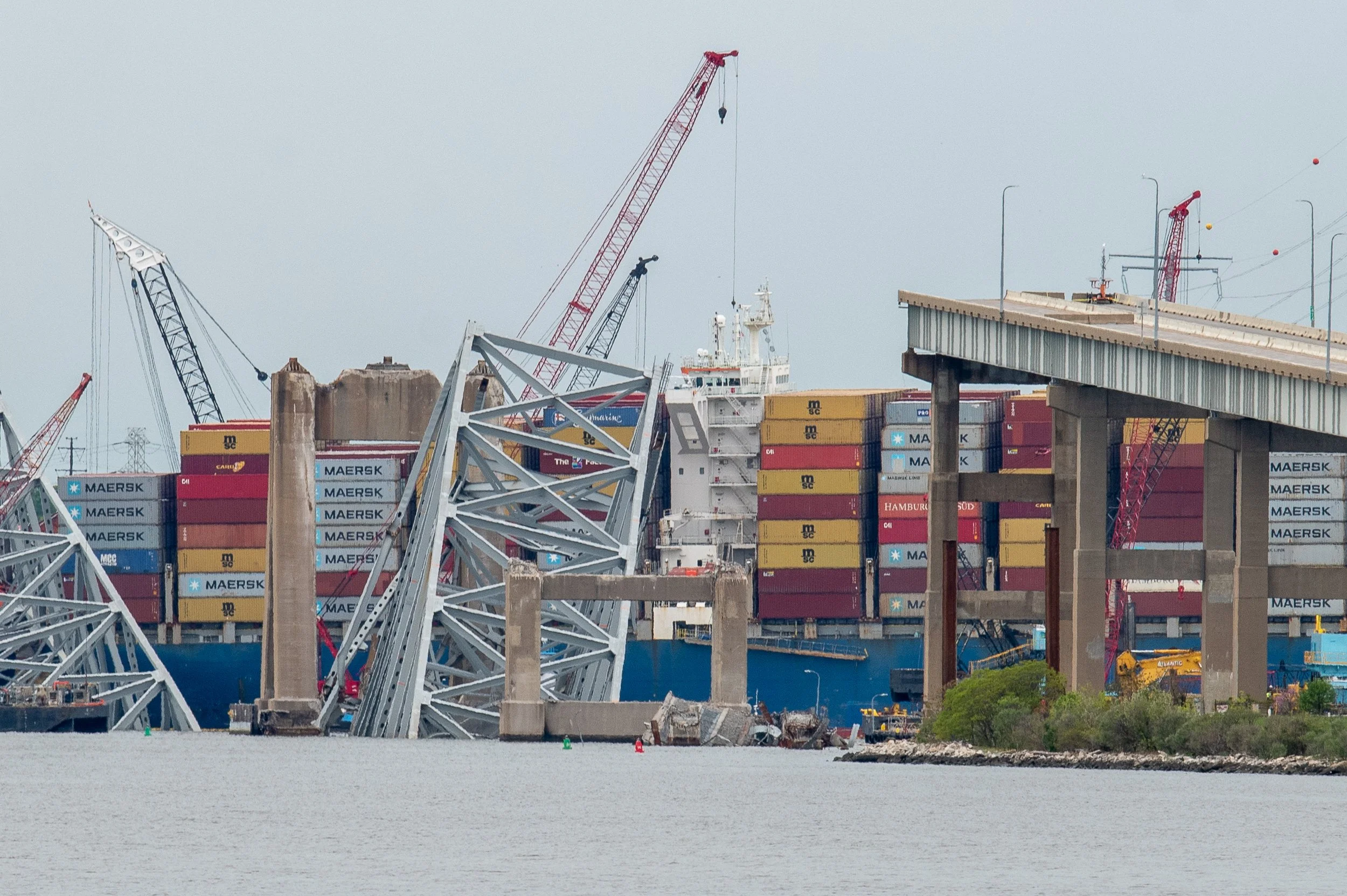 DSC_1525.jpg