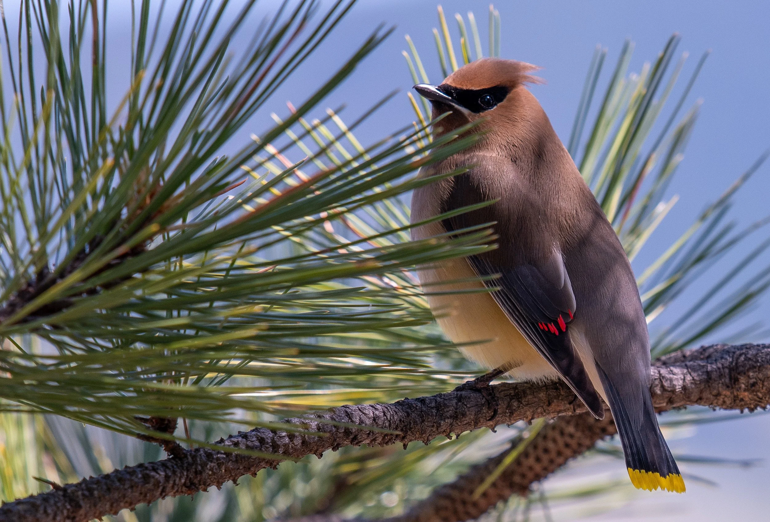 DSC_0741.jpg