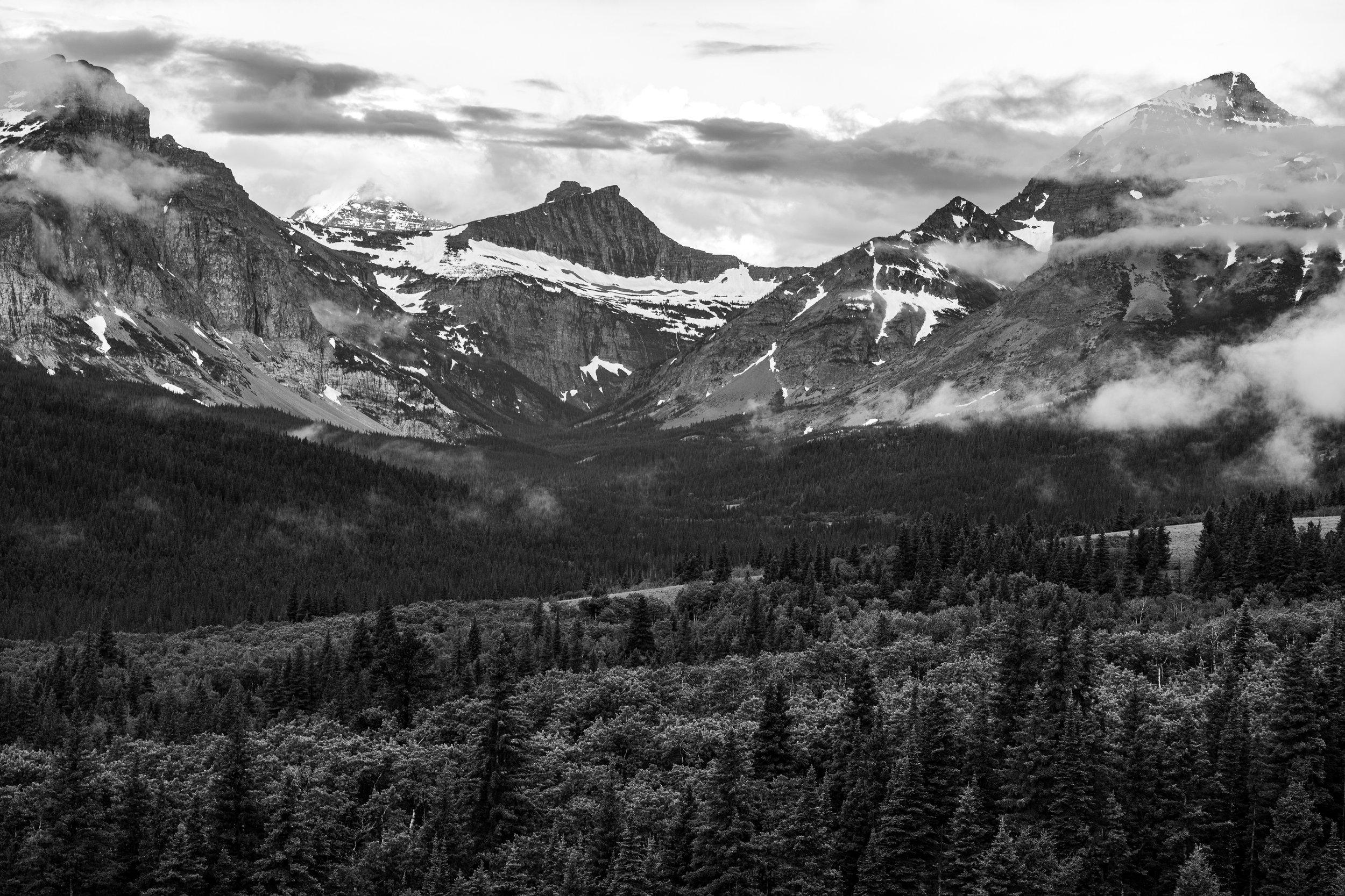 DSC_1194.jpg