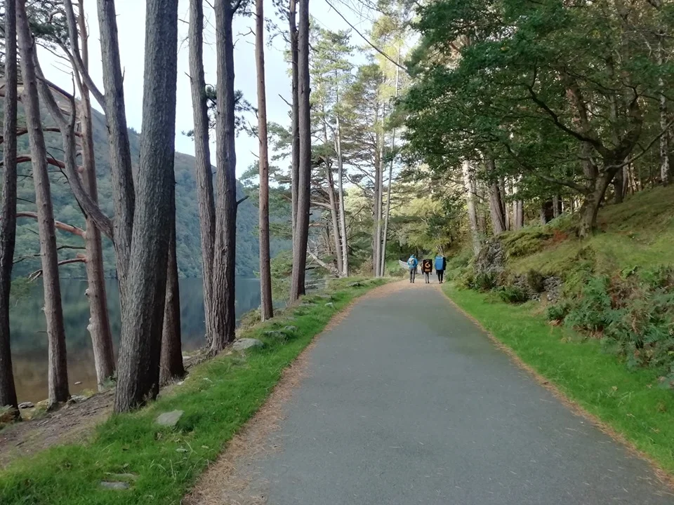 Wicklow October '19 trip report