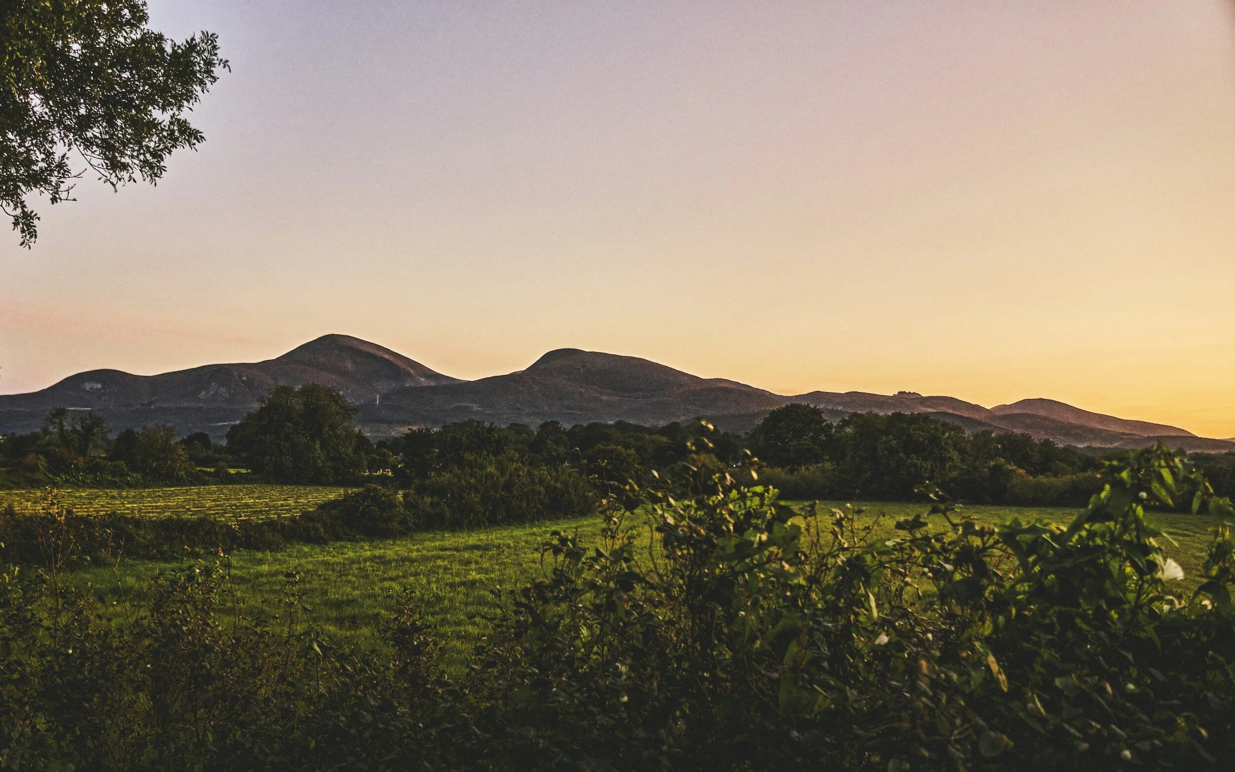 Introductory Series: Sport @ Altnadue