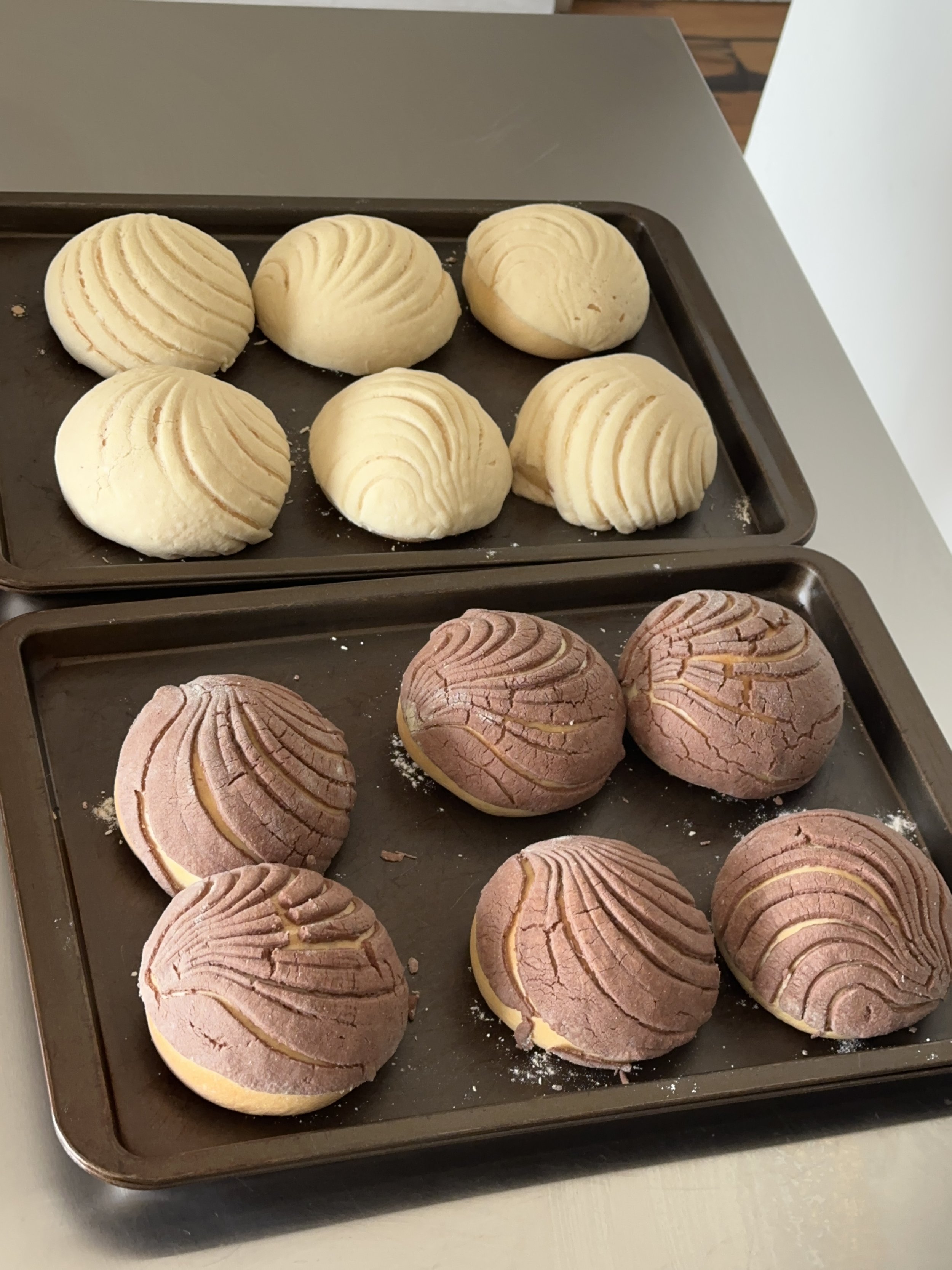 Conchas, Curiosity &amp; Practice > Output
