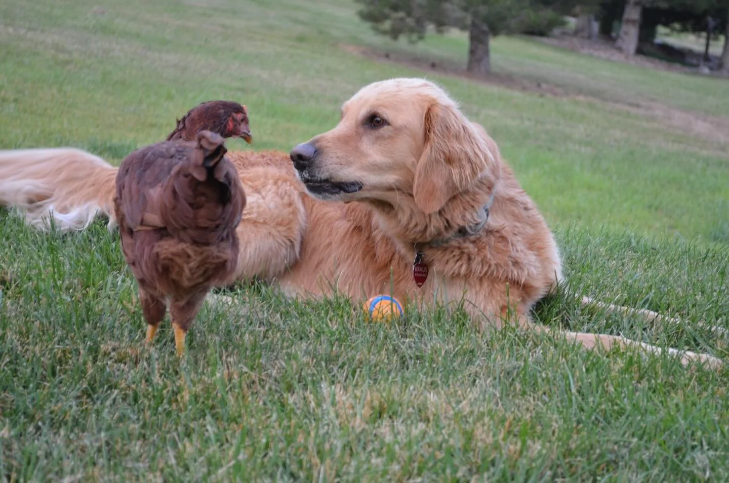 There are so many things pressing down on me. First and foremost, this country and the ways I think we&rsquo;re so off track. Some days it feels like all I want to do is curl up and sleep. 

I&rsquo;m reminded of the extra ordinary power of the love 