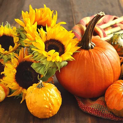 Ortho Isn’t Just Child’s Play