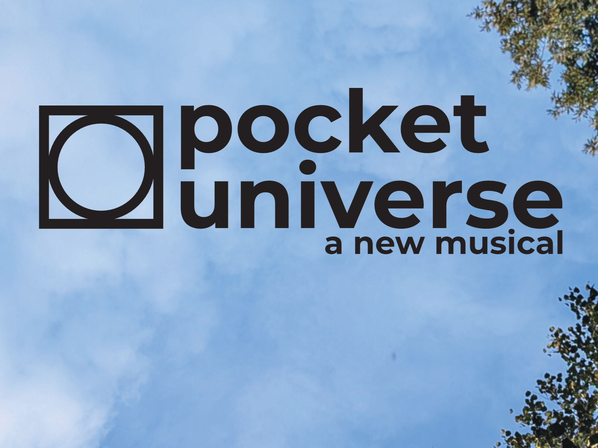 Pocket Universe: A Public Reading