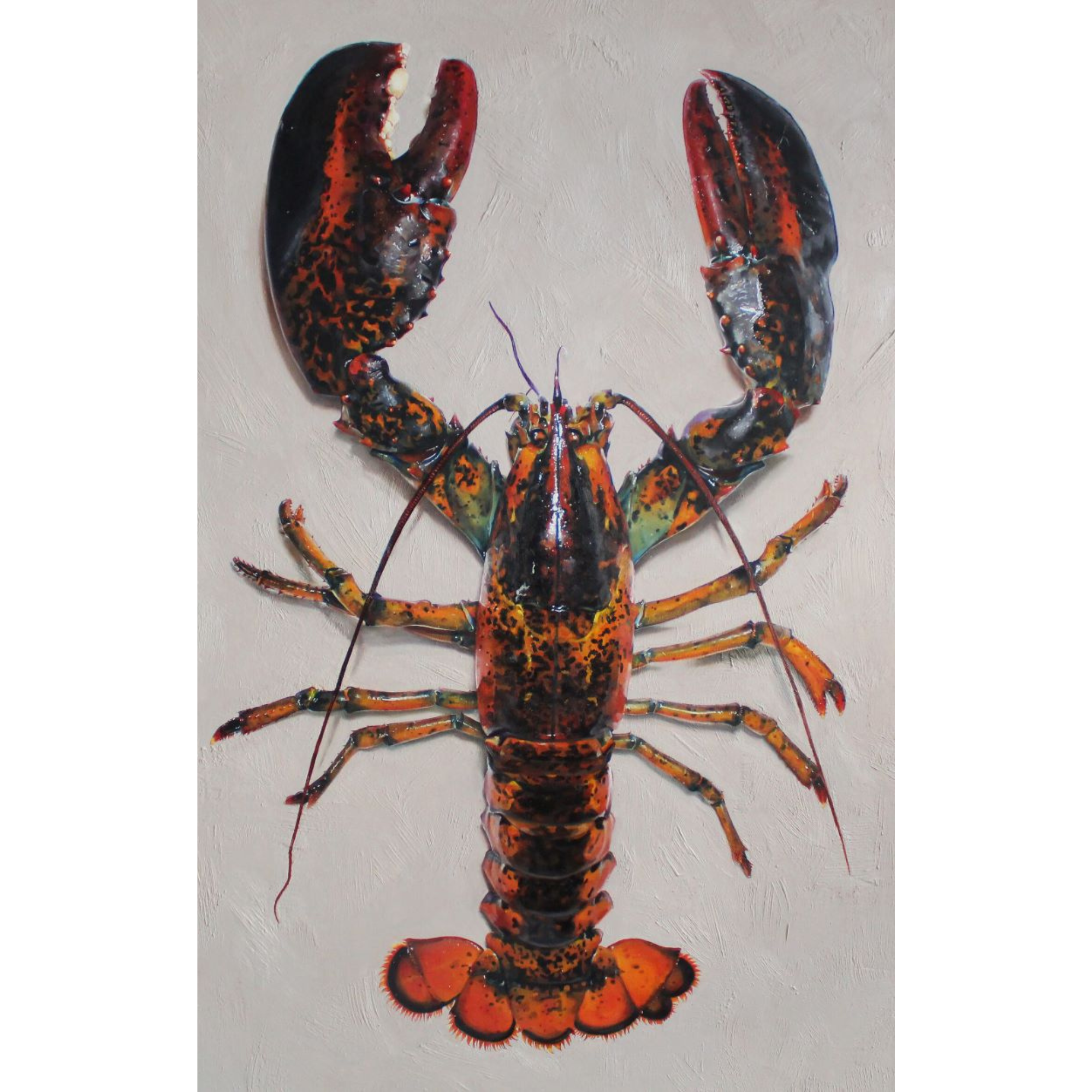 lobster for store.png