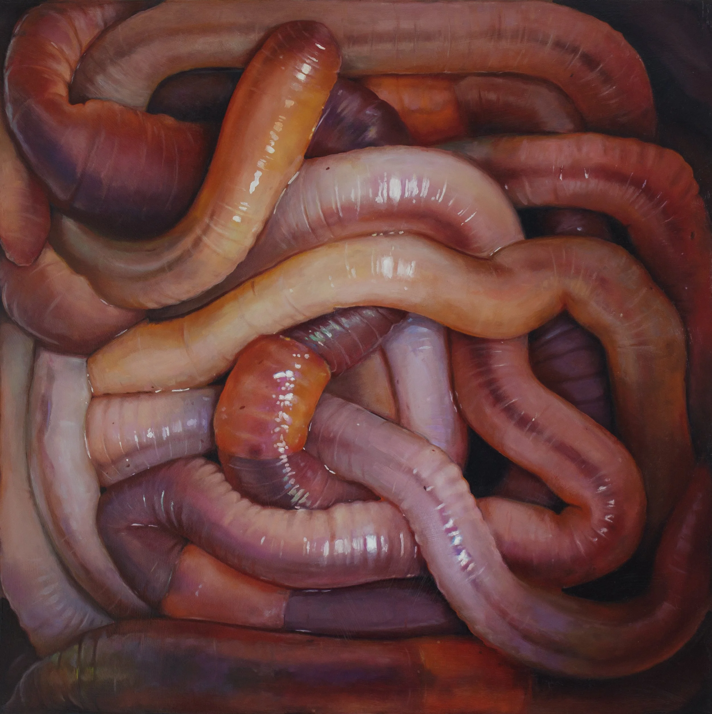 box worm.jpg