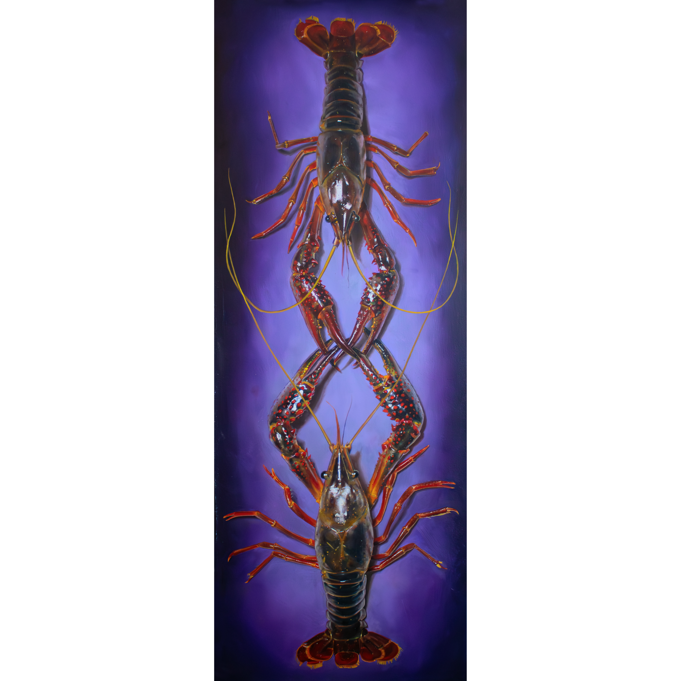 crawfish full shop.png