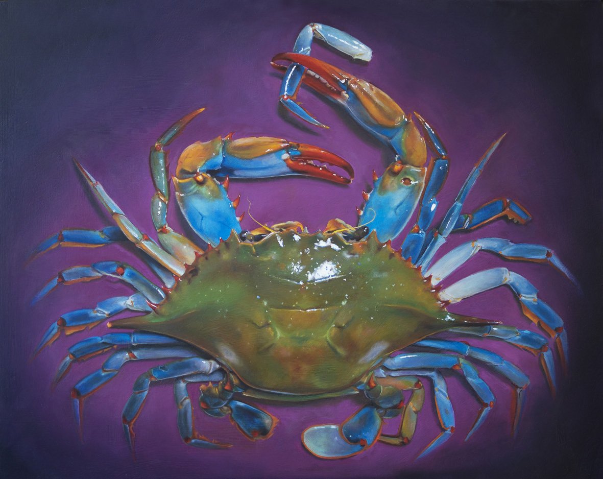 crabwithtoomanylegs.jpg
