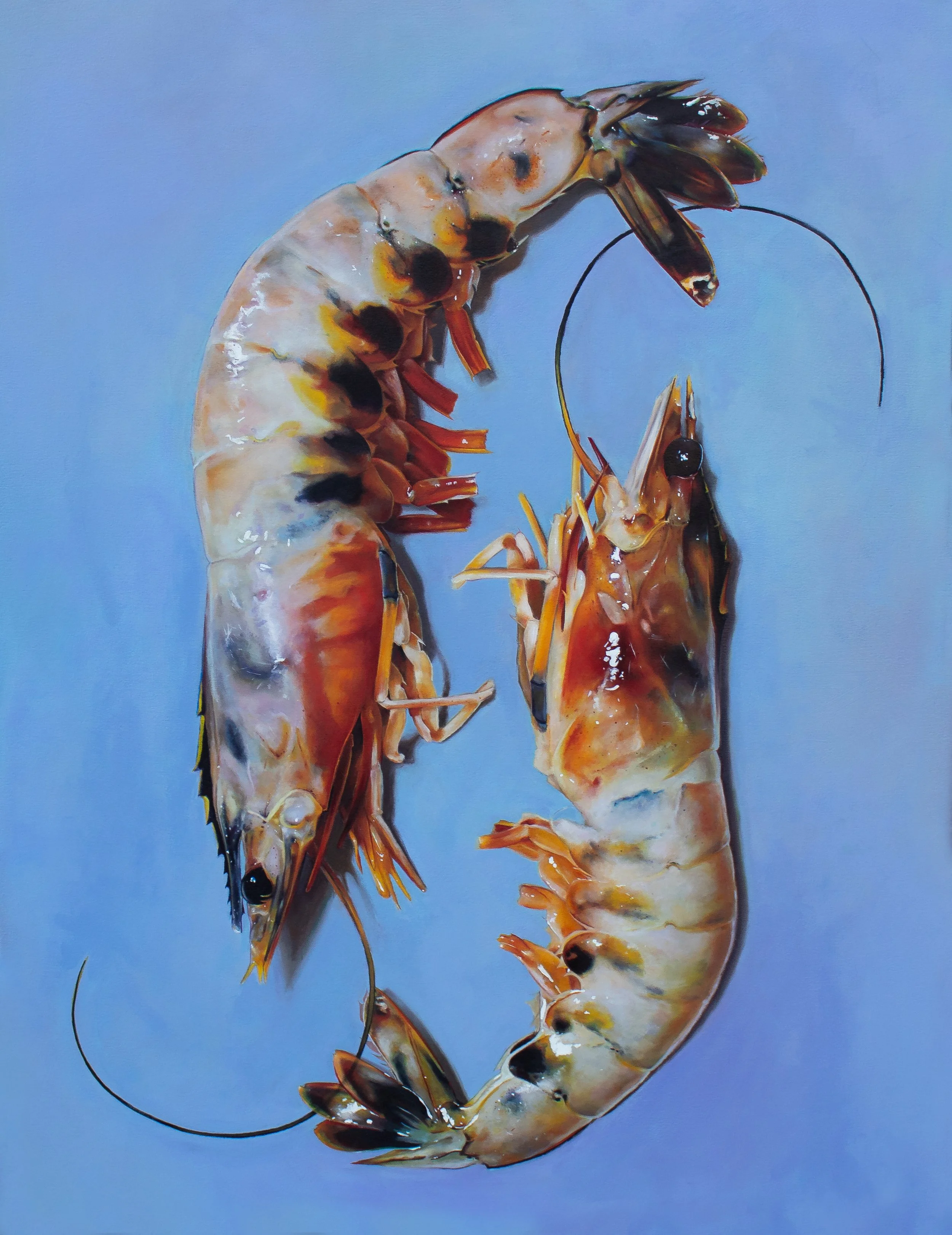 Bottom Shrimp