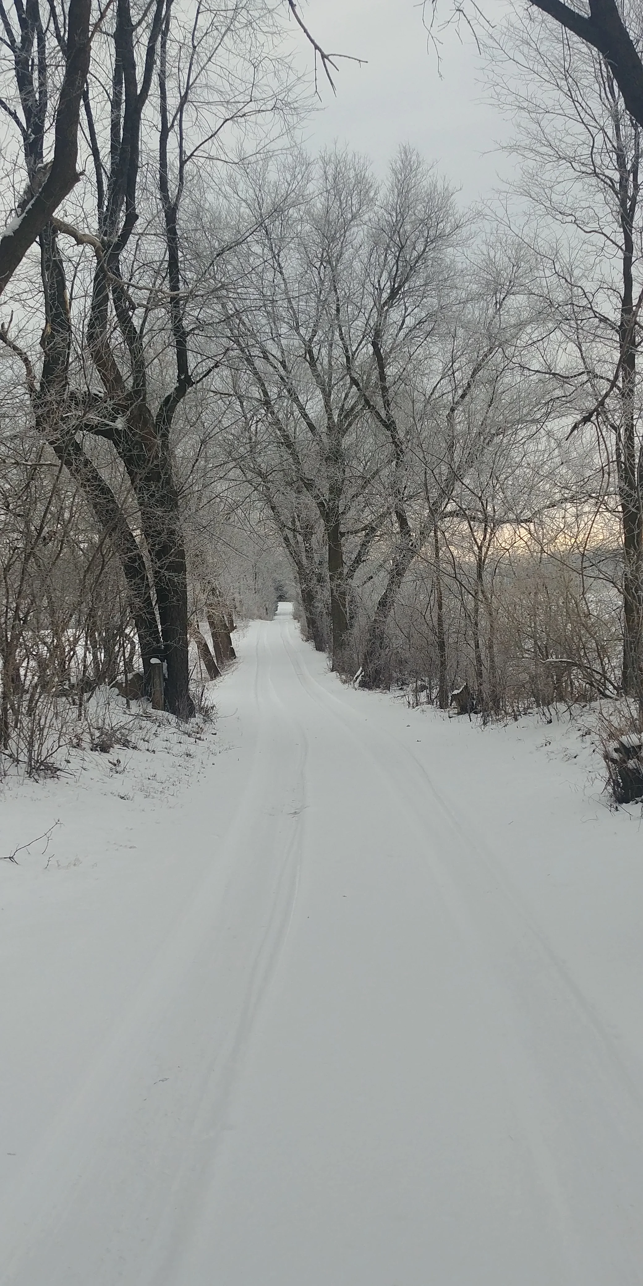 20180117_083031.jpg