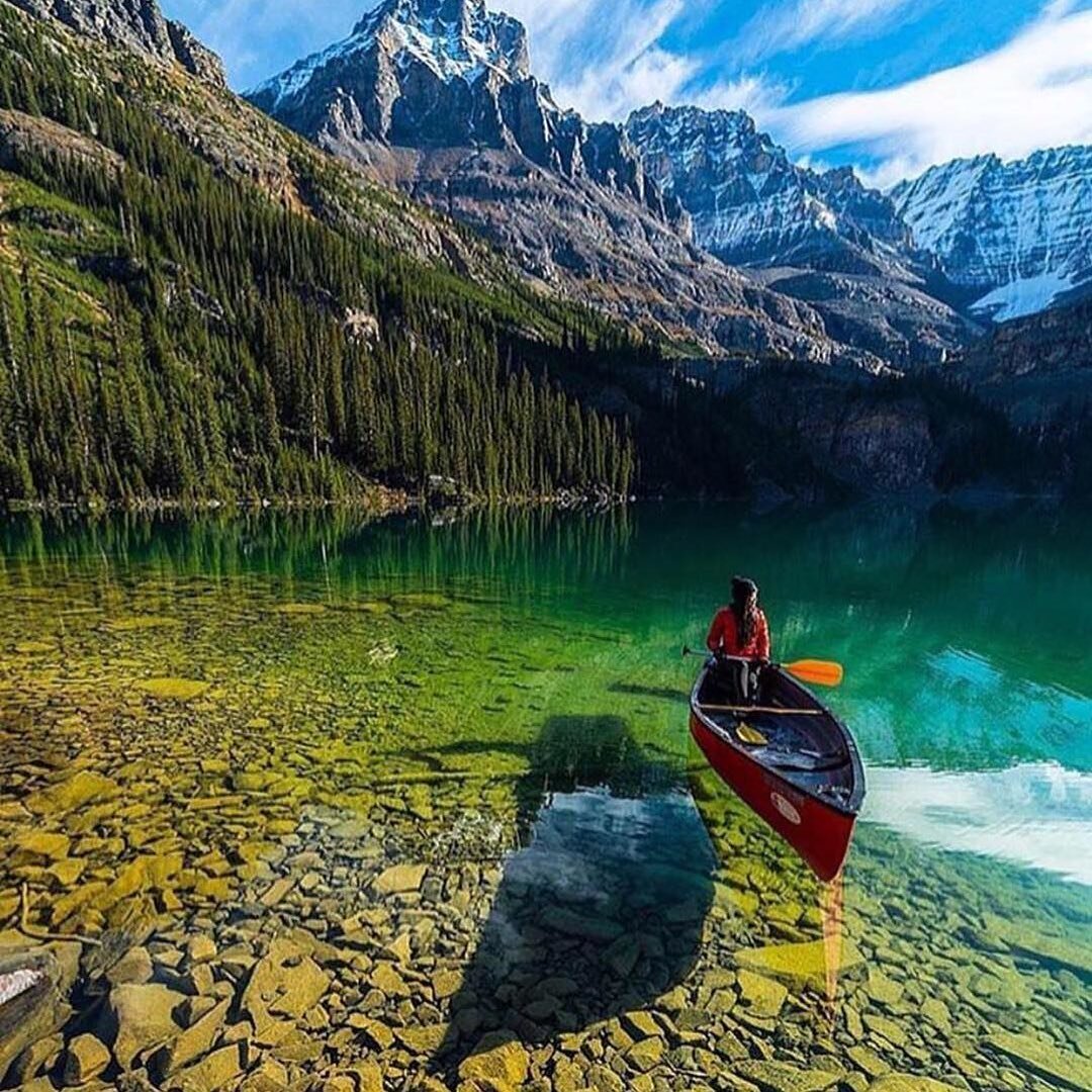 Wow! Lake O'Hara in Canada looks exquisite... Photo by @jonzzzsh on Instagram.
Come in and let us help you get ready for your next adventure!