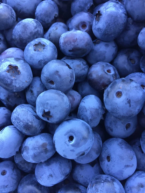 Brown’s Beautiful Blueberries 493 Coburn Hill Road, Craftsbury 05826 www.bbblueberries.com | (802) 586-2202 / 2843 During season, 9am-5pm. Call ahead. For over 25 years Arnold Brown has produced quality blueberries on his 2,000 bush hillside orchard overlooking the Black River Valley and Craftsbury Common.