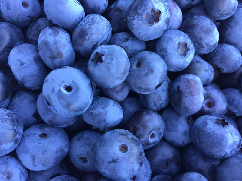 Browns-Beautiful-Blueberries.jpg