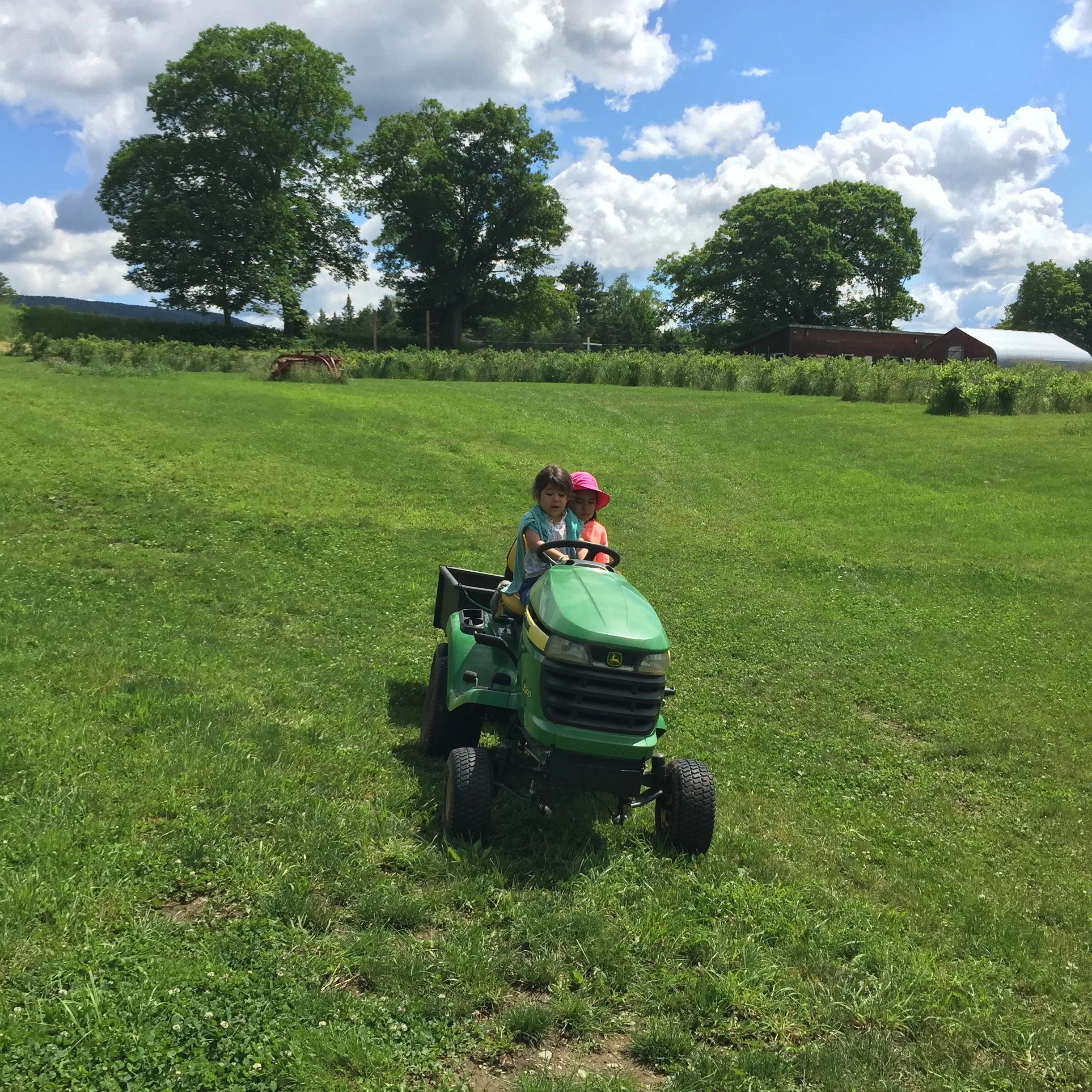 Two Sisters Organic Farm 1375 Plot Road, Johnson 05656 https://twosistersorganicfarm.wordpress.com |(802) 635-7027 Please call ahead. Two Sisters has blueberries, raspberries, currants, garlic, and more. U-pick and for sale. Season is mid-July to late August. Call ahead to verify at the beginning and end of the berry seasons please. Mid season the farm is open Tuesdays through Sundays, 9 a.m. to 6 p.m.