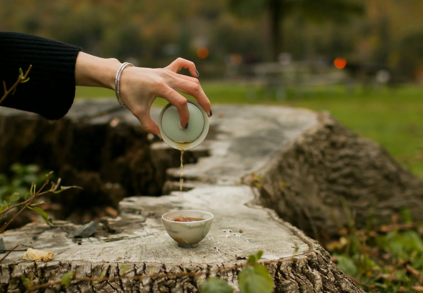 Handmade Mini Eggshell Gaiwan (Mint Green)