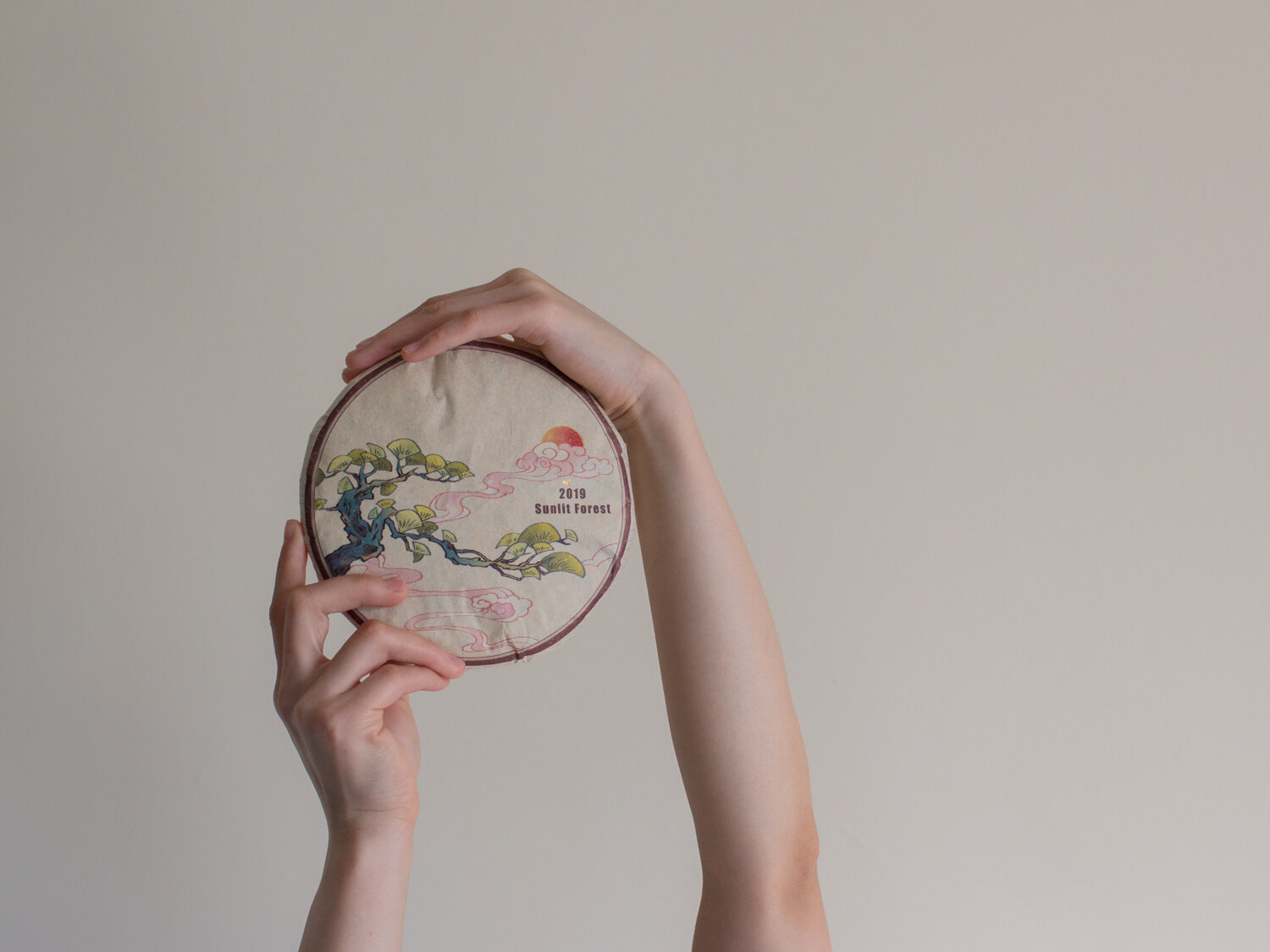 2019 Sunlit Forest Shou Mei White Tea ( 100 g / 1 cake )